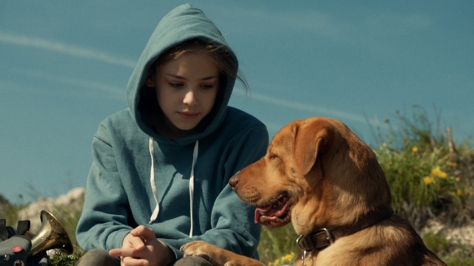 white-god-hungary-hungarian-drama-film-2014-kornel-mundruczo-dogs-like-body-hagen-movie-review